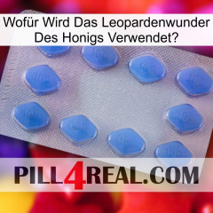 Wofür Wird Das Leopardenwunder Des Honigs Verwendet 21